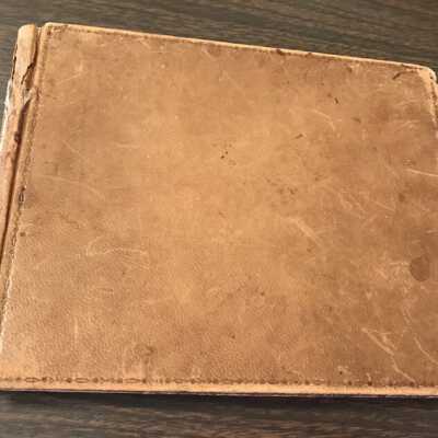 Leroy Woods Cleavenger journal, 1857