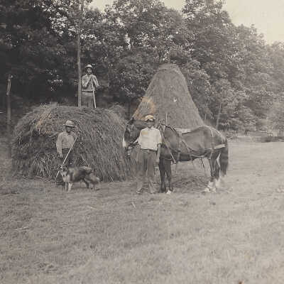 Haystack and workers