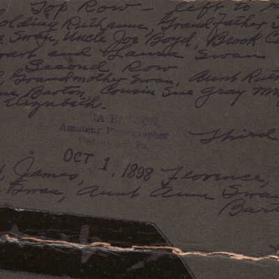 Swan family - Reverse of image: Origformat: Print-Photographic