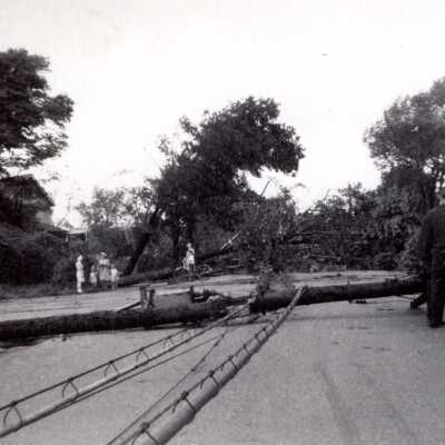 Photo of 1947 tornado Niles/Howland