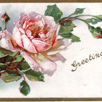 Greetings postcard