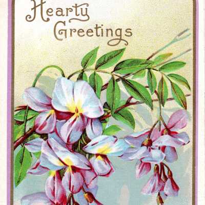 Hearty Greetings postcard