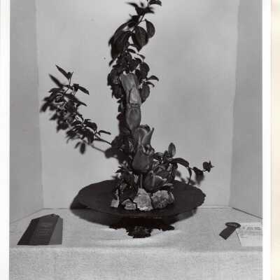 Howland Garden Club Photo