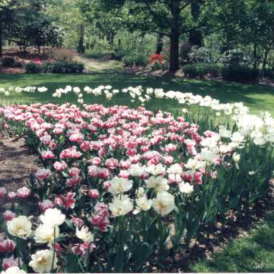 Howland Garden Club Photo