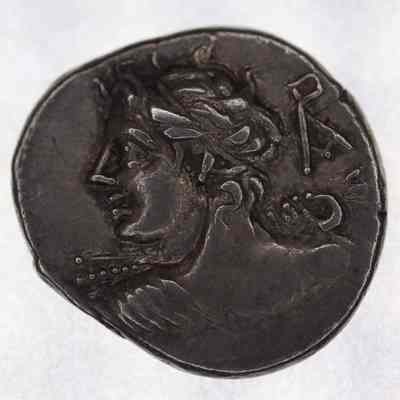 Lucius Caesius - AR Denarius