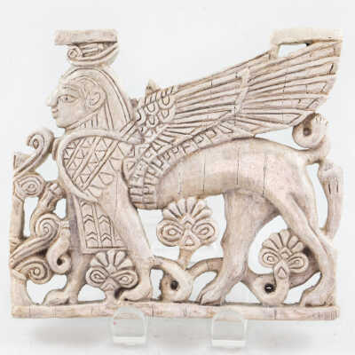 Ivory Winged Sphinx