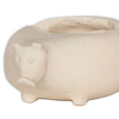 Cycladic Zoomorphic Pyxis