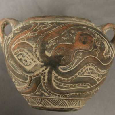 Octopus Cup