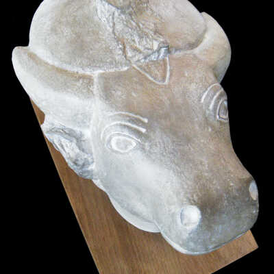 Head of the Apis Bull