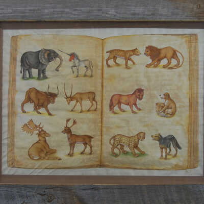 Beasts Extinct to Extant, Vatican Collection
