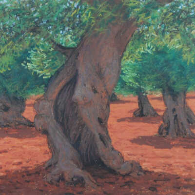 Untitled (Orchard with twisted tree)