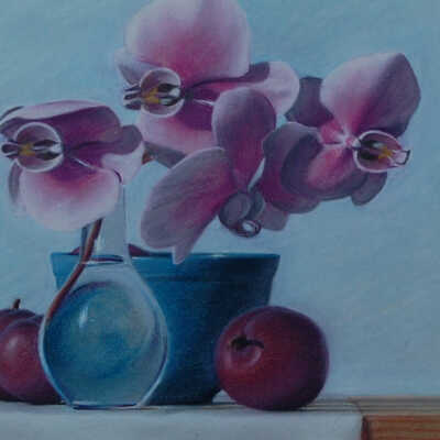 Untitled (Orchids)