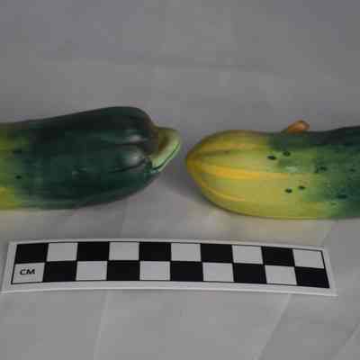 Back and size comparison of the pickle salt and pepper shakers.