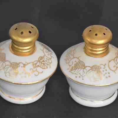 Vintage Hand Painted Porcelain Irice Salt and Pepper Shakers