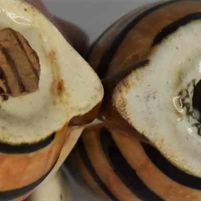 Bottom shakers marked Japan.