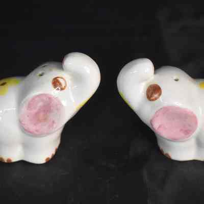 Vintage ceramic elephant salt and pepper shakers with a floral design.