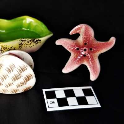 Dish- 2022.1.32a, Scallop shell- 2022.1.32b, Starfish- 2022.1.32c