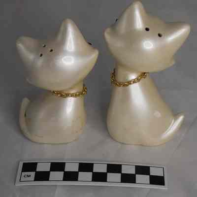 Size comparison for cat S&P shakers.