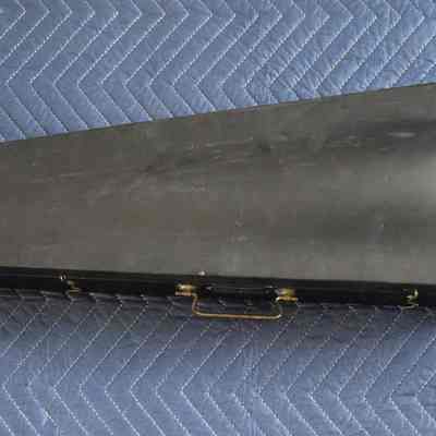 The violin's case: 2023.1.257c.