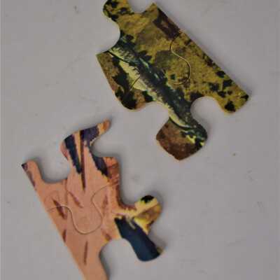 Puzzle Pieces