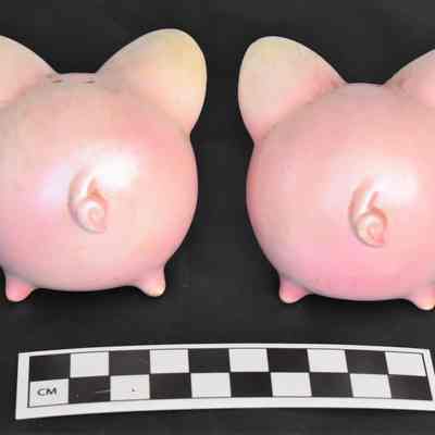 Back and size comparison of pig salt and pepper shakers.