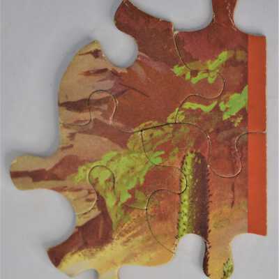 Puzzle Pieces
