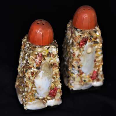 Shell Encrusted Salt and Pepper Shakers