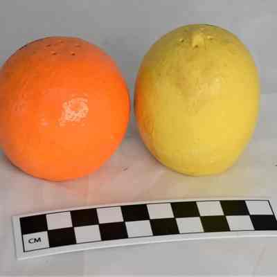 Back and size comparison of orange and lemon shakers.