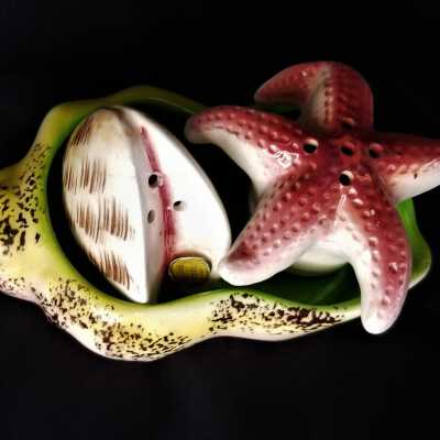 Seashell and Starfish Salt and Pepper Set