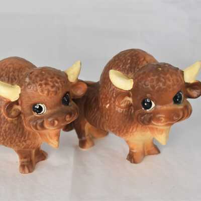 Bison Salt and Pepper Shakers