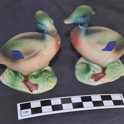 Other side and size comparison of duck shakers.