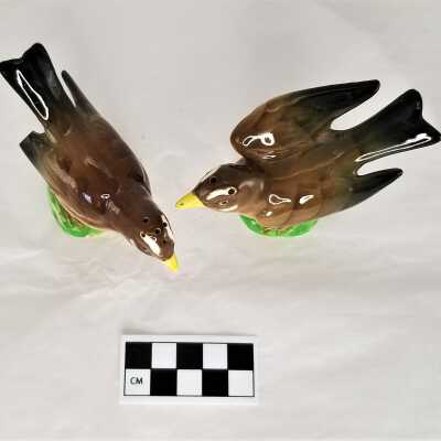 Outstretched wing- 2022.1.20a and Broken wing tip- 2022.1.20b