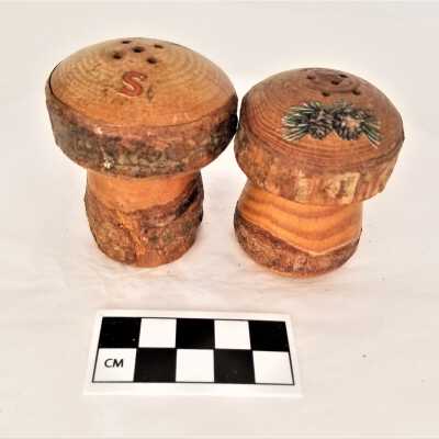 Wooden Mushroom Saltshakers