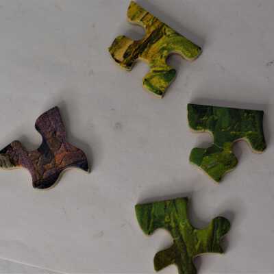 Puzzle Pieces