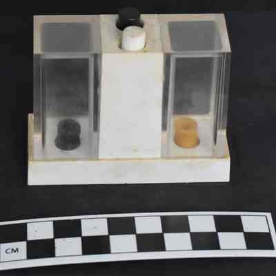 Back and size comparison of 2 in 1 shaker set.