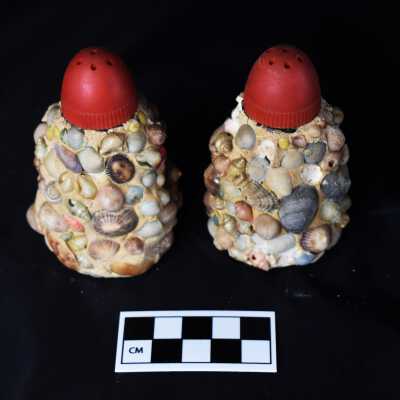 Shell Encrusted Salt and Pepper Shakers