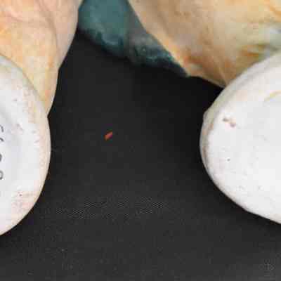 Numbered E9223 on the bottom of each shaker.
