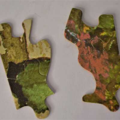 Puzzle Pieces