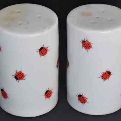 Vintage White Glass Lady Bug Salt and Pepper Shakers Made in Japan