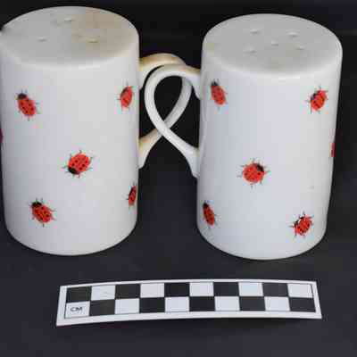 Other side and size comparison of ladybug salt and pepper shakers.