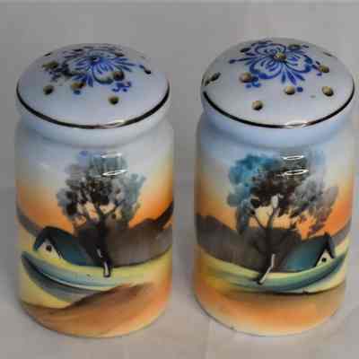 Vintage Noritake Hand Painted Cottage Landscape Scene Porcelain Salt & Pepper Shakers Japan