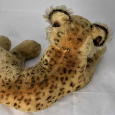Leopard Back