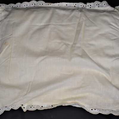 Pillow: 2021.4.5b