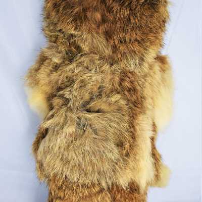 Back of Artic Eskimo