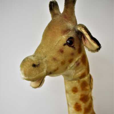 Steiff Giraffe, Large