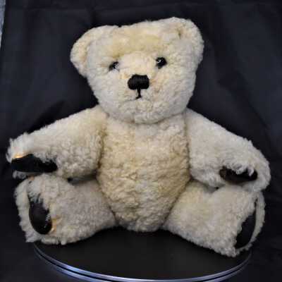 Brumas the Polar Bear