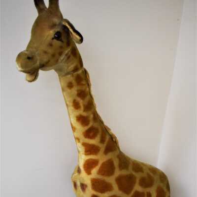 Giraffe, full length