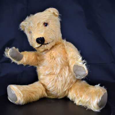 Yellow Bear
