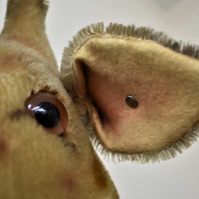 Steiff Button-in-Ear