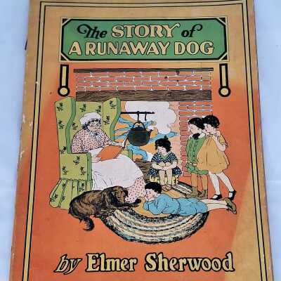The Story of a Runaway Dog
